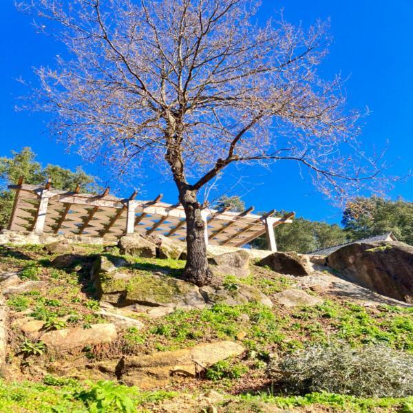 Paiva Valley Alvarenga Extérieur photo
